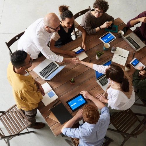 Professional team of VCFO - V Lead Advisors