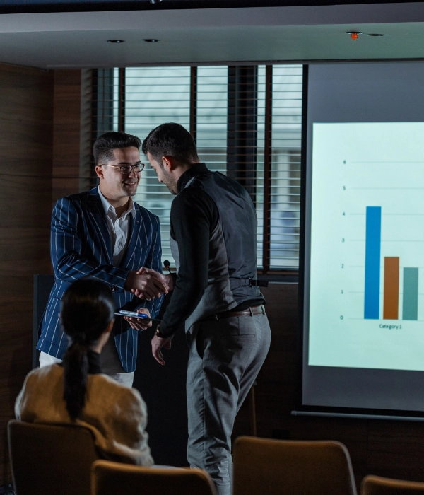 What Virtual CFO do for business - V Lead Advisors